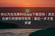 你以为在找黑料社app下载官网｜其实在被引到营销号矩阵｜最后一步才是关键