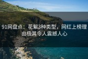 91网盘点:花絮3种类型,网红上榜理由极其令人震撼人心