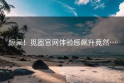 惊呆！觅圈官网体验感飙升竟然…