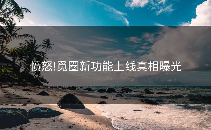 愤怒!觅圈新功能上线真相曝光