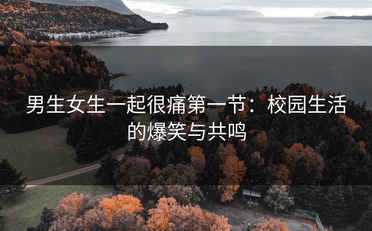 男生女生一起很痛第一节：校园生活的爆笑与共鸣
